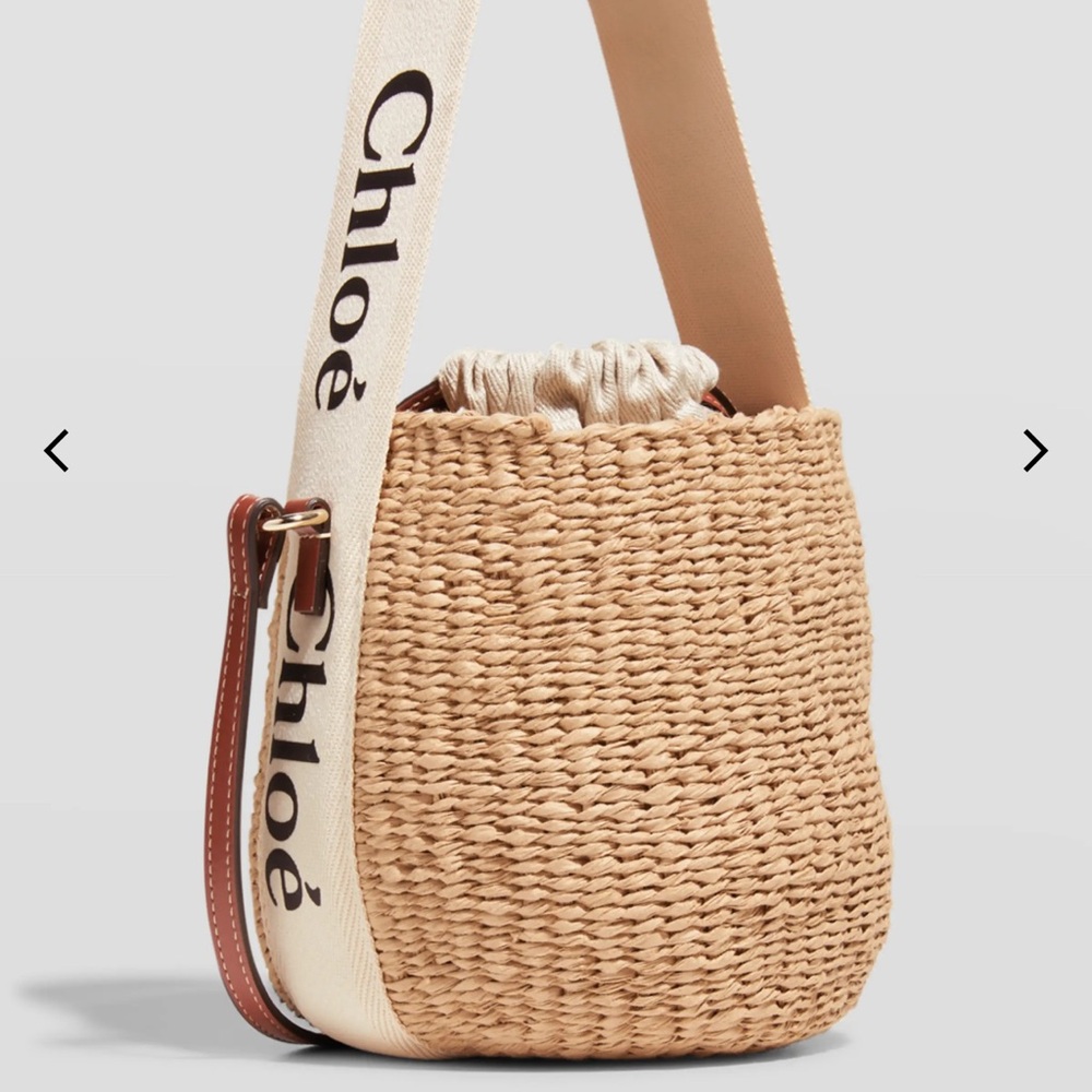 NWT Chloe Woody Small Basket Bag